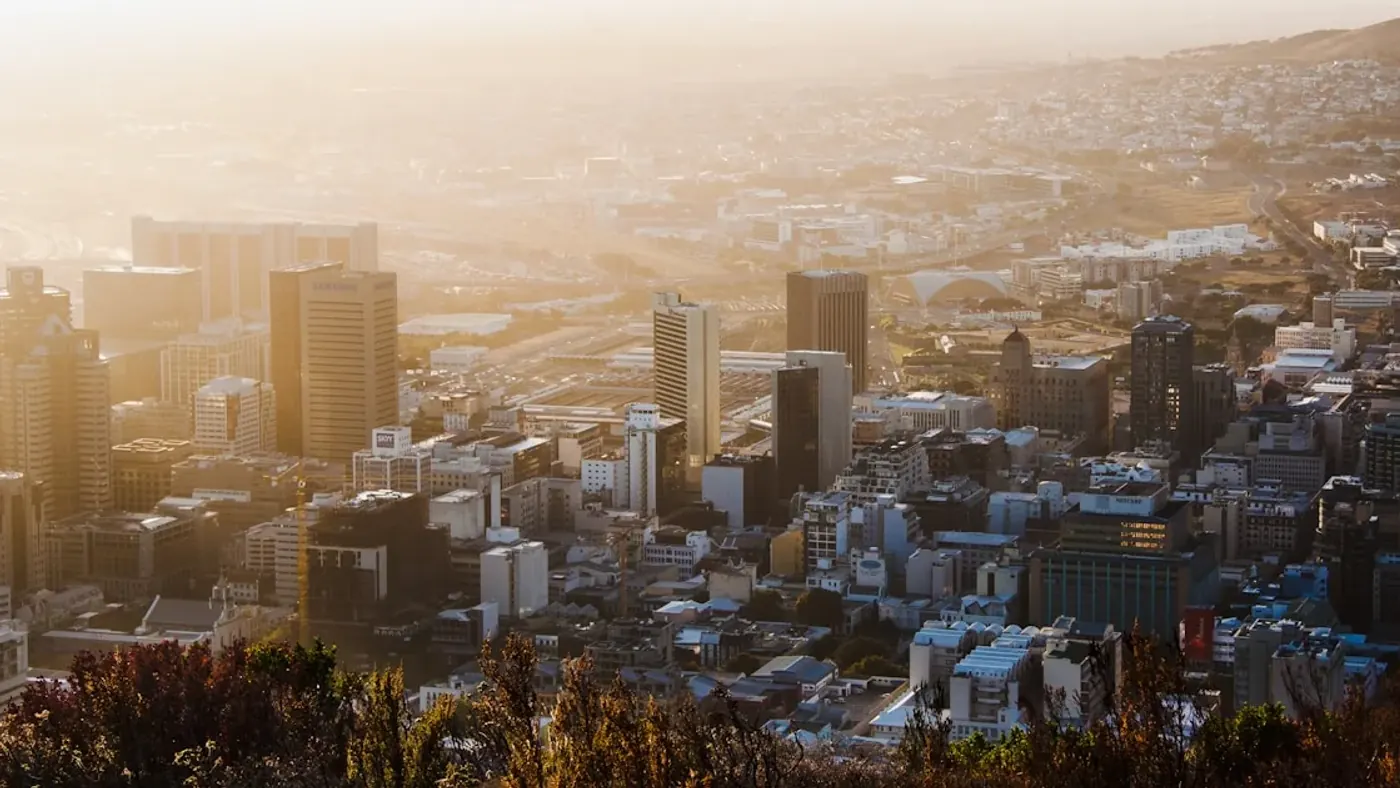 Business team reviewing search performance for Seo Costs South Africa