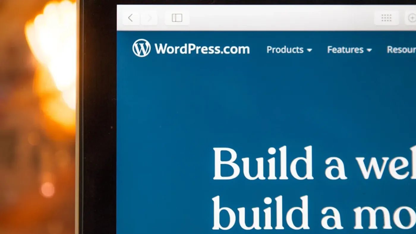 Business team reviewing search performance for When Wordpress Is Enough And When Custom Development Makes Sense