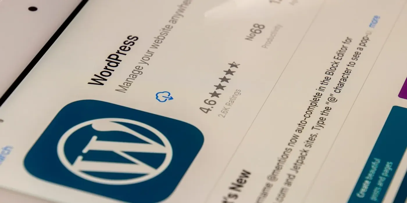 Planning notes and analytics for Wordpress Vs Custom Development Which Is Right For You
